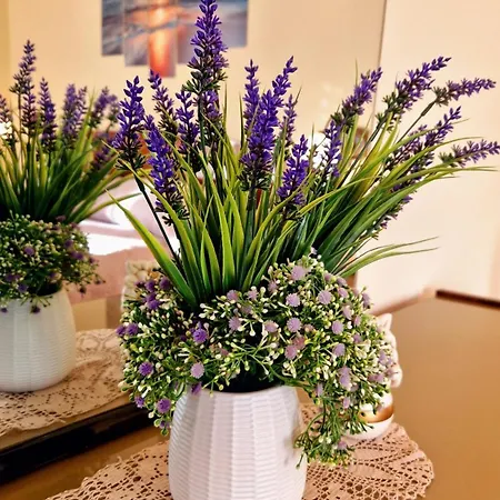 La Perla Sul Tirreno Appartement *